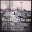 weld county garage 9 tips from 120