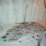 basement floor wall repair