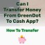 can i transfer money from greendot to