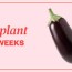 pregnancy symptoms week by week guide