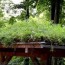 how to create a gorgeous green roof