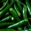 how to green chilies for months