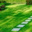 8 top lawn care tips for greener gr