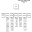 hospital organizational chart examples