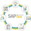 sap business one in depth review