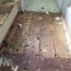 wood floors found under carpet houzz uk