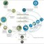 the circular economy concept explained