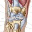 causes of knee pain by location