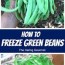 how to freeze green beans the daring