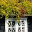 how to plant a green roof on your shed