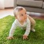 carpeting avoiding the worst toxin in
