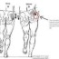 hip pain overview livermore ca patch