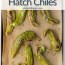 how to roast hatch chiles includes