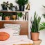 best plants for your bedroom bloomscape