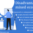 mixed economy disadvantages financial