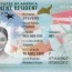 cr1 and ir1 spouse visas explained