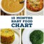 10 months indian baby food chart meal