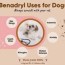 dog benadryl dosage chart usage and