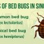 bed bugs prevention in singapore