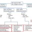 anemia diagnostic flow chart this