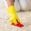 how to get mold out of carpet in 7
