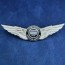 drone pilot wing pins