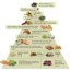 anti inflammatory food pyramid anti