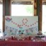 airplane birthday theme ideas and party