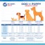 dog or puppy growth chart how big