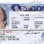 driver license requirements