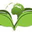 eco green pest control treatment