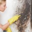 what does basement mold look like
