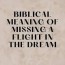 biblical meaning of missing a flight in