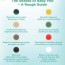 baby poo guide poo colour and health