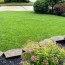 natural lawn care dr earth