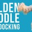 goldendoodle tail docking what future