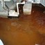 iron bacteria iron ochre in wet basements