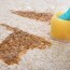 6 useful carpet stain removal tips