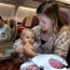 flying with a baby tips and useful