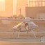 flying drone taxis