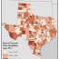 texas state profile rtc rural