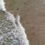 florida surfer captures drone video of