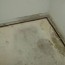 carpet water damage mold can the