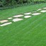 how to green up your lawn