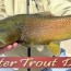 white river fishing report by cotter