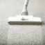 diy vs professional carpet cleaning