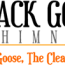 black goose chimney sweep serving south