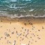 aerial beach coolor wave naple