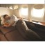 airplane beds let you really sleep
