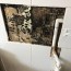 mold is a plumbing issue it can be if